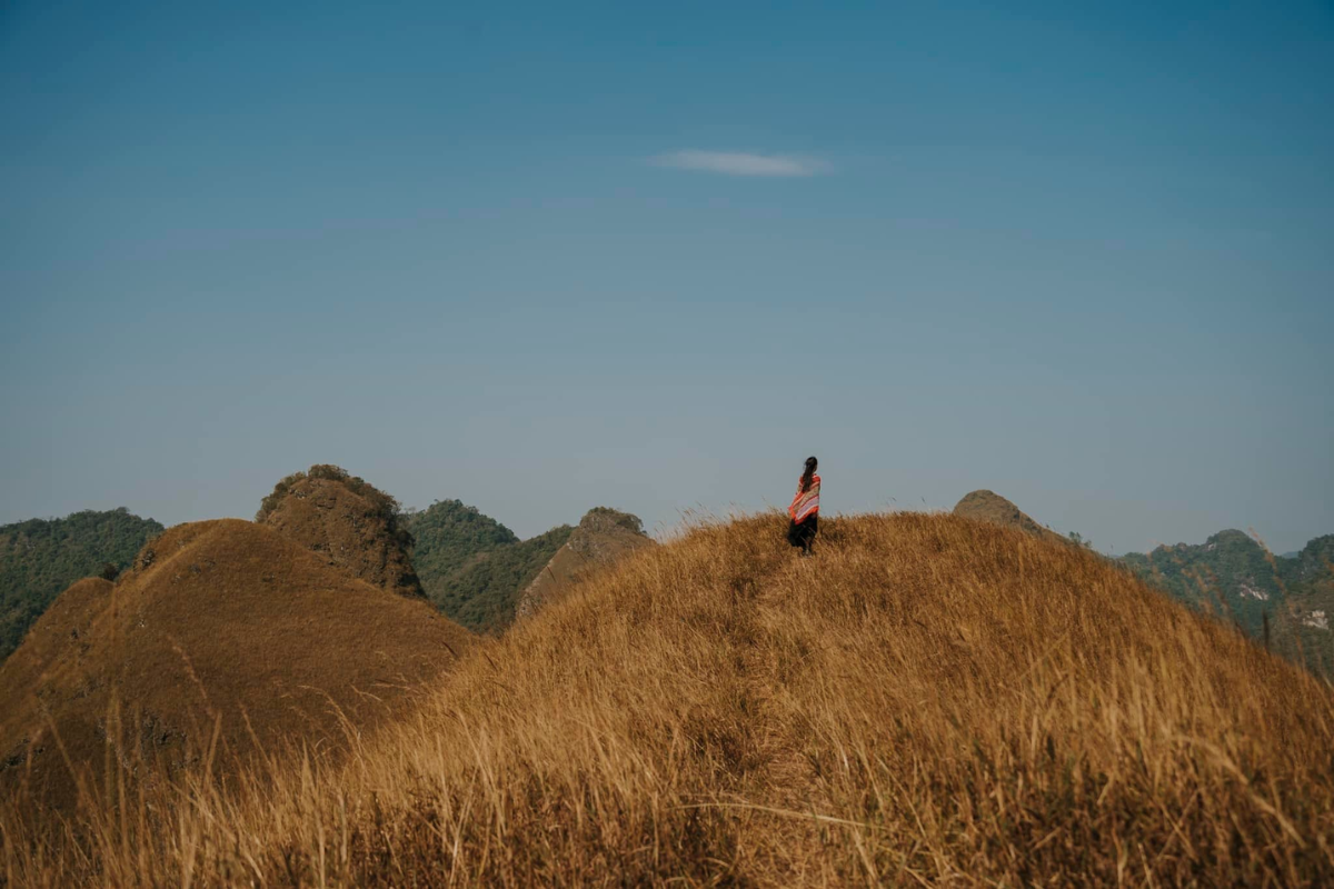 Burnt orange grass of Vinh Quy Grass Hill during the dry season
